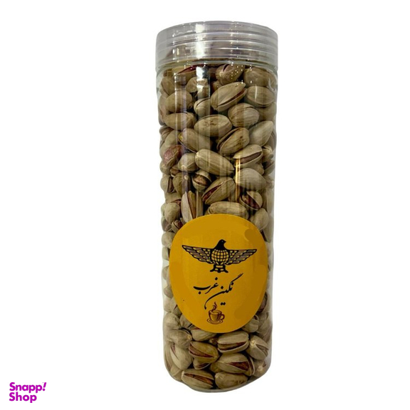 پسته اکبری دستچین اعلا نگین غرب وزن 450 گرم