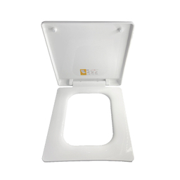 درب توالت فرنگی مدل ANITIC