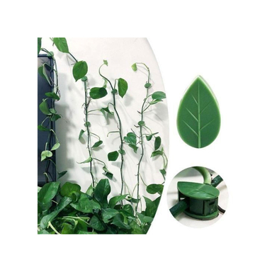 گیره نگهدارنده گیاه بسته 10 عددی