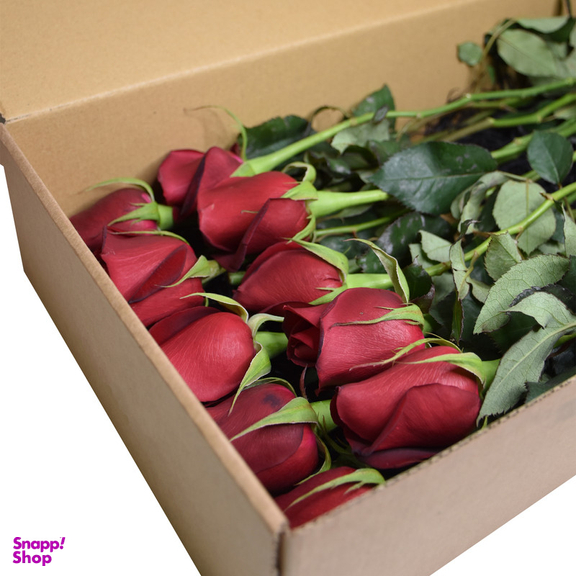 شاخه گل رز هلندی قرمز دسته 20 عددی