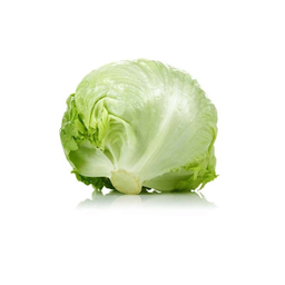 بذر کاهو ایران بذر مدل آیس برگ