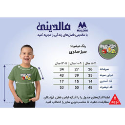تیشرت آستین کوتاه پسرانه مالدینی مدل T-kids-11