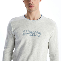 پلیور مردانه ال سی وایکیکی مدل TUK333