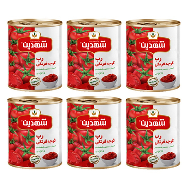 کنسرو رب گوجه فرنگی شهدین وزن 800 گرم بسته 6 عددی