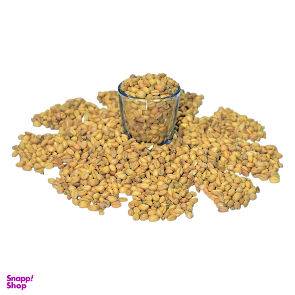 گندم برشته حقیقت وزن 260 گرم