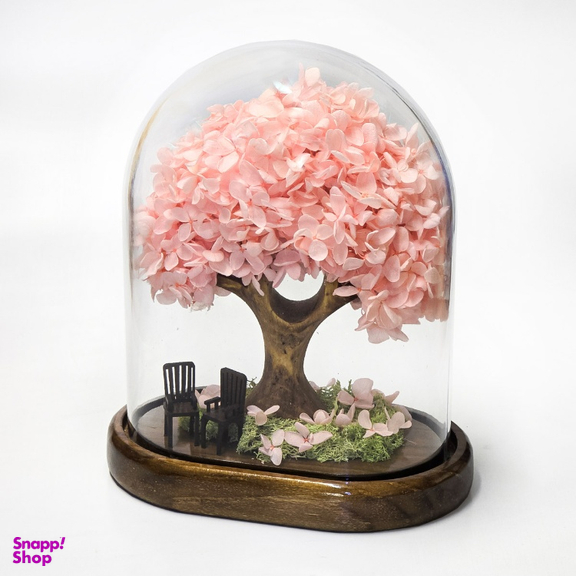 باکس درختچه گل هورتانزیا جاودان مدل آدونیس رز رنگ صورتی