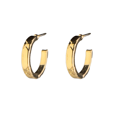 گوشواره زنانه اکسسوریز کد Gosh-022