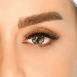 لنز فصلی بیوتی شماره 205 رنگ طوسی دور مشکی