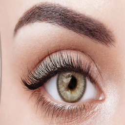 لنز چشم گریس هرا شماره 36 مدل SHADOW رنگ طوسی عسلی دوردار