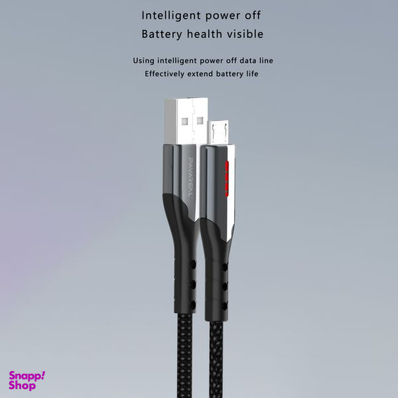 کابل تبدیل USB به USB-C پاواریال مدل DC-163 طول 1 متر