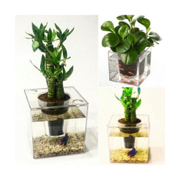 آکواریوم مدل گلدان شفاف