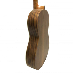 گیتار کلاسیک پارسی مدل M6