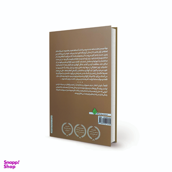 کتاب دخترکی لبه پنجره اثر مریم ماهی انتشارات پیام آزادگان