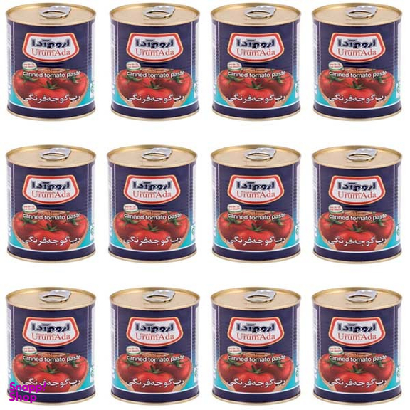 کنسرو رب گوجه فرنگی اروم آدا وزن 800 گرم 12 عددی
