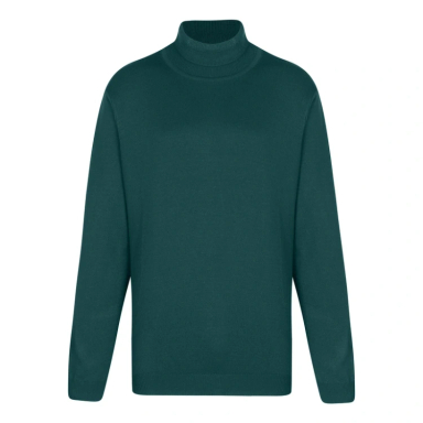 پلیور یقه اسکی مردانه ایزی دو مدل GD-s-16898821