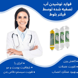 فیلتر تصفیه آب یخچال و فریزر بلوط مدل گیاهی BL 808 مجموعه 8 عددی