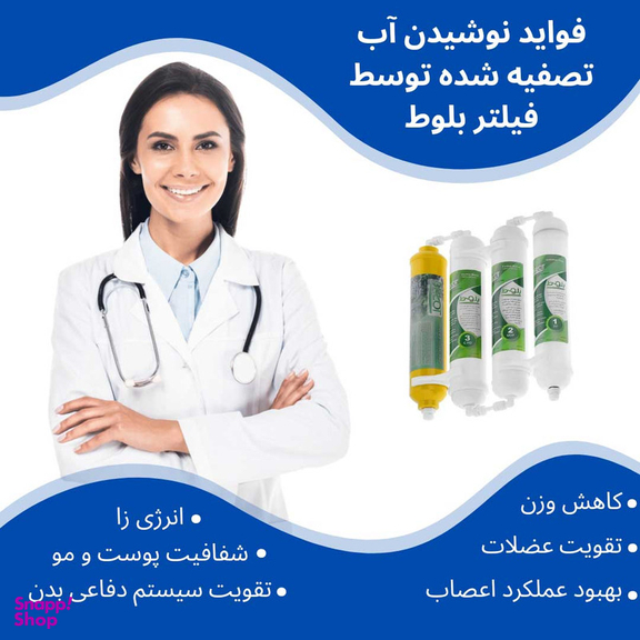 فیلتر تصفیه آب یخچال و فریزر بلوط مدل گیاهی BL 808 مجموعه 8 عددی