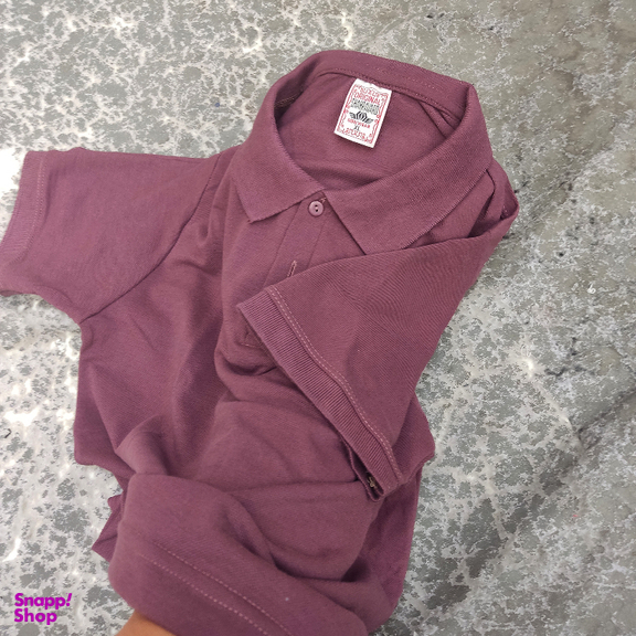 پولوشرت مردانه مدل PL-AN1