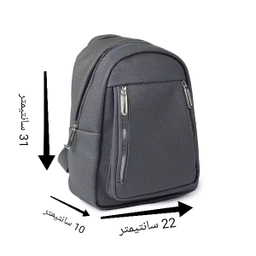 کوله پشتی زنانه مدل دو زیپی کد BG-2880