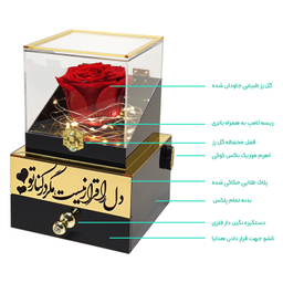 گل رز جاودان مدل موزیکال کوکی طرح دل را قرار نیست