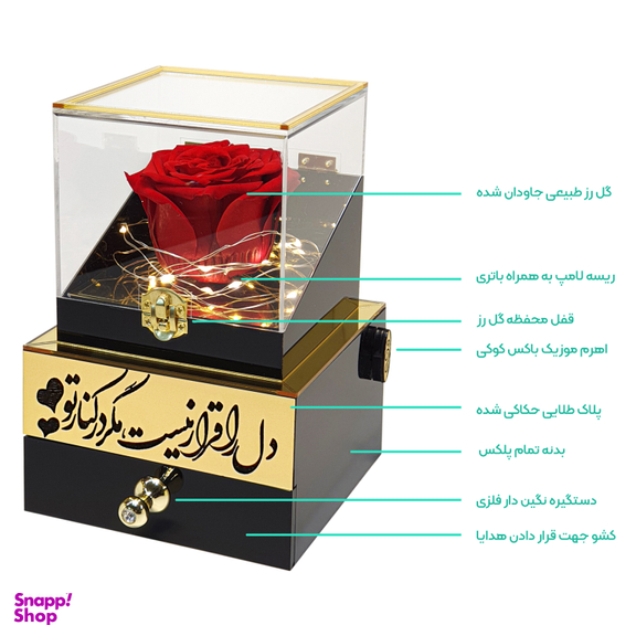 گل رز جاودان مدل موزیکال کوکی طرح دل را قرار نیست