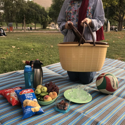 زیر انداز سفری راحل مدل حصیری یک تکه کد 4