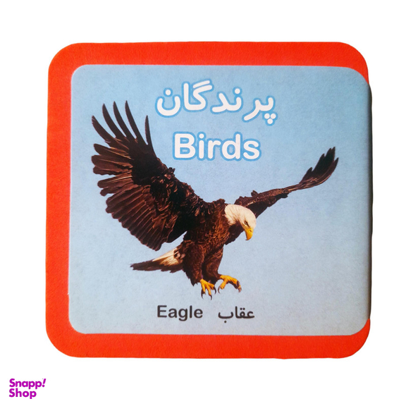 کتاب پرندگان اثر رائد آموزگار و مسعود مستقیم انتشارات فرشتگان