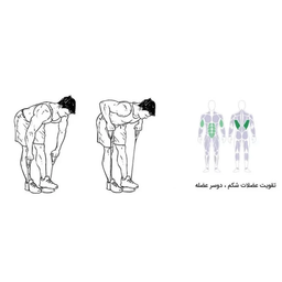 کش ورزشی رادیس فیت مدل All in One طول ۲ متر