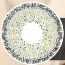 لنز رنگی بیوتی کد SDA31 شماره 16 رنگ سبز گرافیتی