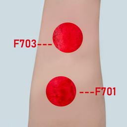 لیپ گلاس کنسی شماره F701