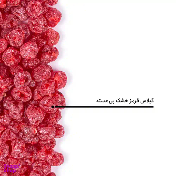گیلاس قرمز خشک بی هسته بارجیل