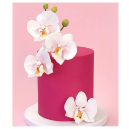 قالب فوندانت به گز مدل ست گل ارکیده اسلیپر مجموعه 13 عددی