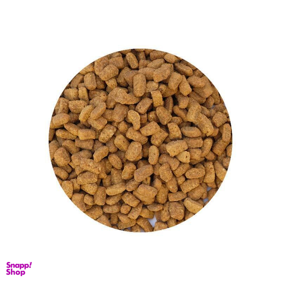 غذای خشک گربه رفلکس پلاس مدل سوپر پرمیوم با طعم گوشت بره و برنج ۱.۵ کیلوگرم
