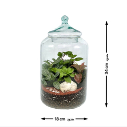 تراریوم مدل کپسولی سایز بزرگ