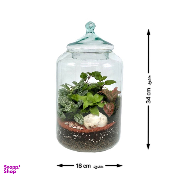 تراریوم مدل کپسولی سایز بزرگ