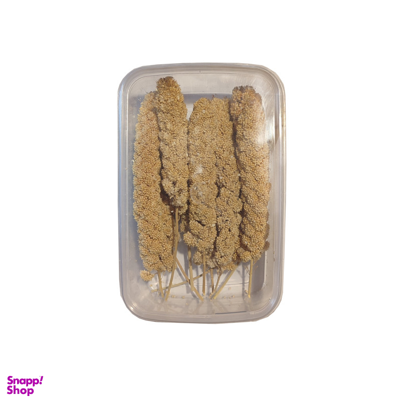 غذای پرنده مدل ارزن خوشه ای کد SP7 بسته 10 عددی