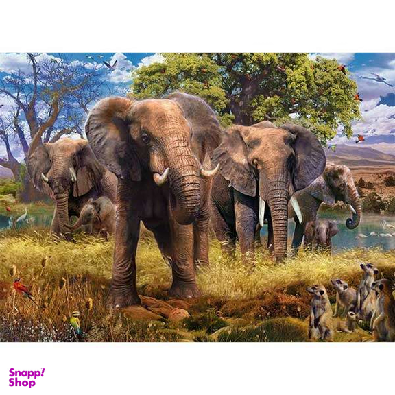 پازل 500 تکه راونزبرگر مدل Elephants کد 15040