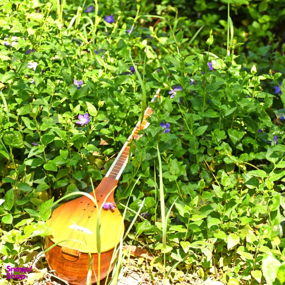 سه تار یران ساز مدل یک مهر