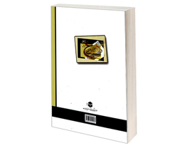 کتاب آموزش زبان گفتاری سوریه و لبنان نشر مشعر