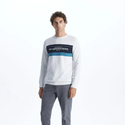 سویشرت مردانه ال سی وایکیکی مدل LORNS