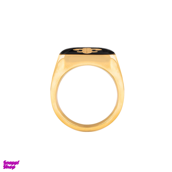 انگشتر مردانه الون مدل هیلاردی