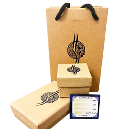 نیم ست نقره زنانه گیرا مدل Stone کد G999