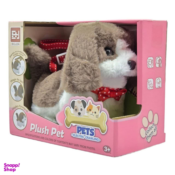 عروسک ناب سل مدل سگ پولیشی قلاده دار موزیکال جعبه دار Polish collared dog NAAB001 ارتفاع 15 سانتی متر