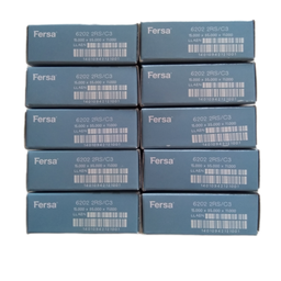 بلبرینگ خودرو مدل FERSA 6202/2RS C3 دوربالا کد B03 بسته 10 عددی