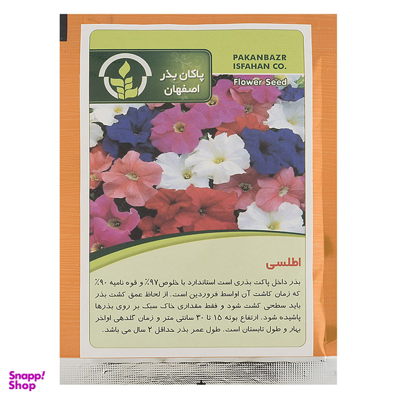 بذر گل اطلسی پاکان بذر