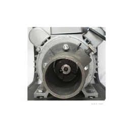 موتور ویبراتور برقی ایمر مدل YC90L2-2 به همراه شیلنگ 1.5 اینچ