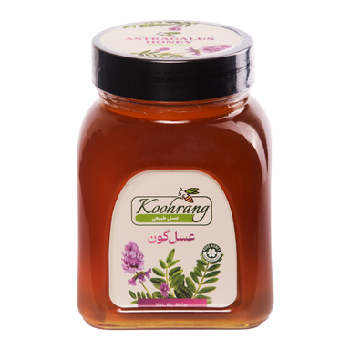 عسل طبیعی گون رویال کندو کوهرنگ وزن 900 گرم