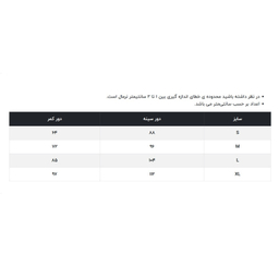 بلوز آستین بلند زنانه آر اِن اِس مدل 43-11271768