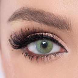 لنز رنگی هرا مدل SBA13 شماره 19 رنگ سبز مغز پسته‌ ای