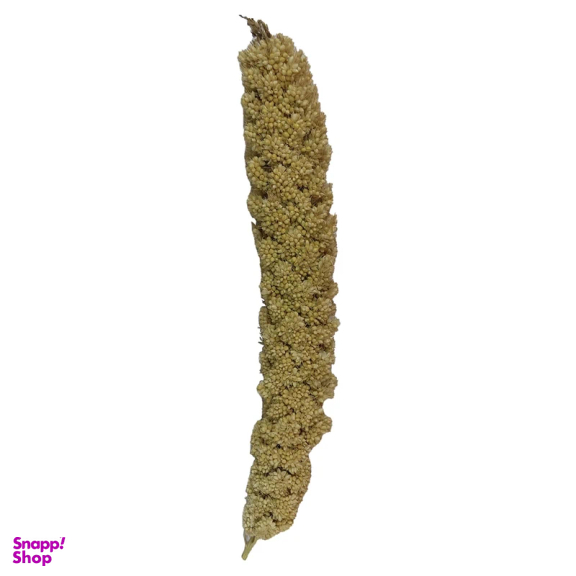 غذا تشویقی پرنده مدل ارزن خوشه ای مناسب طوطی بسته 5 عددی